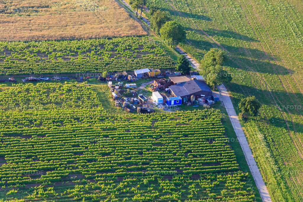 Luftbild: Hütte mit Hof voller Kruscht und Krempel in Dörrenbach im Bundesland Rheinland-Pfalz in Deutschland. Foto: IMG_148535.jpg vom 18.06.2025 durch Werner Riehm/FLY-FOTO.de