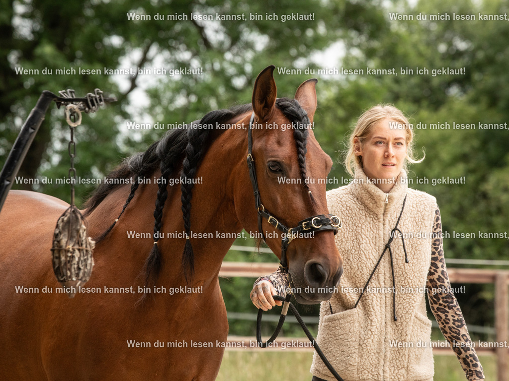 598A6233 | photographylinaismer - Realisiert mit Pictrs.com