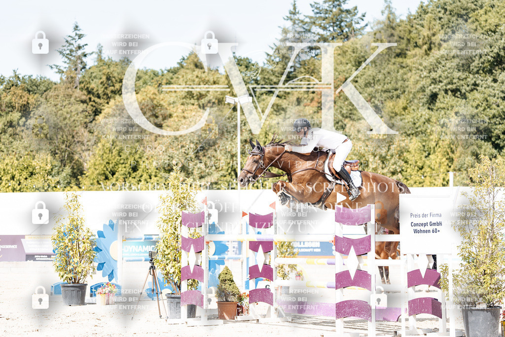 CK904973 | Turnierfotografie Pferdefotografie Trier Rheinland-Pfalz Pferdesport Reitsport Tierfotografie Sportfotografie Pferdevideo Pferdevideografie Equestrianvideography equestrianphotography  - Realisiert mit Pictrs.com