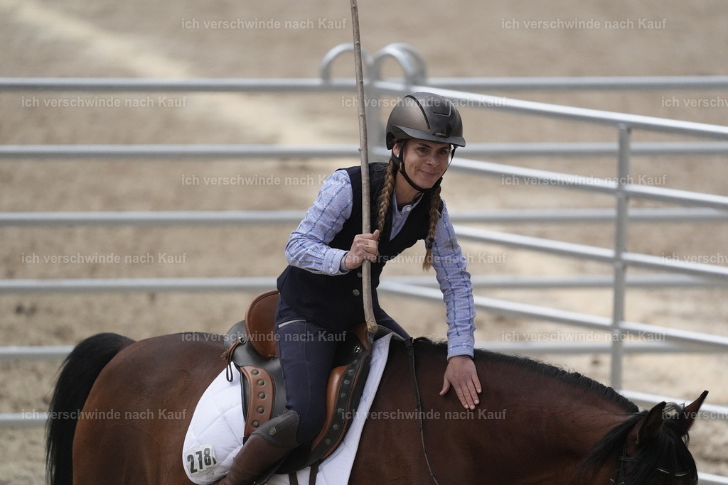 PI26_COW_Stoibphotography_DSC6482.JPG | working equitationturnier fotograf videograf stoibphotography marixx film working equitation deutschland reitsport turnierfotografie eventfotografie equestrian events