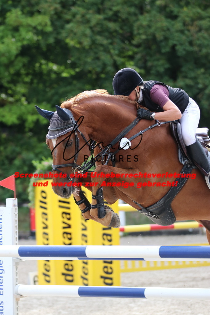 IMG_0921 | lmwpictures - Realisiert mit Pictrs.com