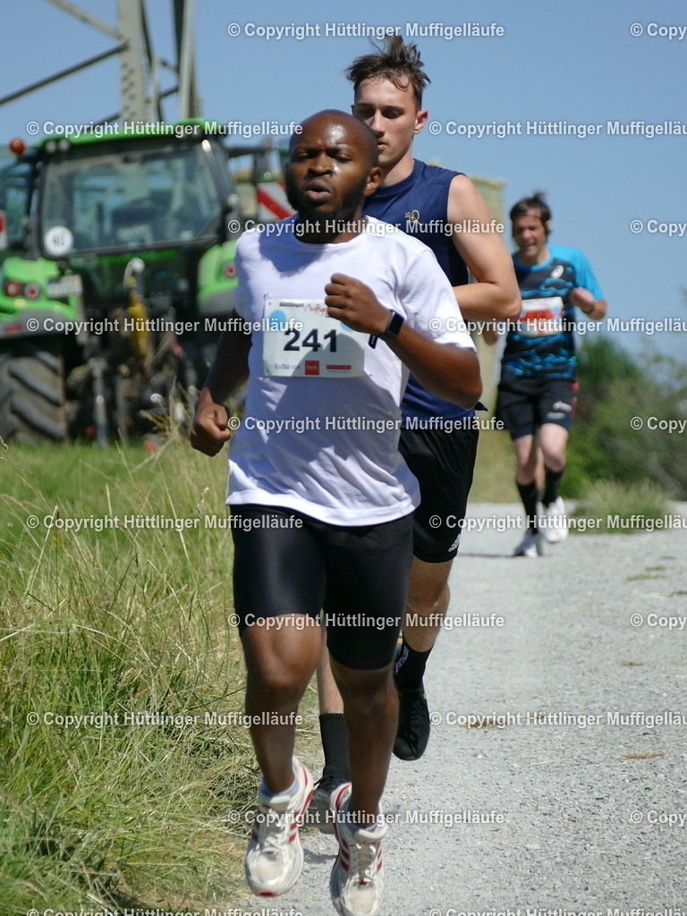 P1110485 | Hüttlinger Muffigelläufe - Realisiert mit Pictrs.com