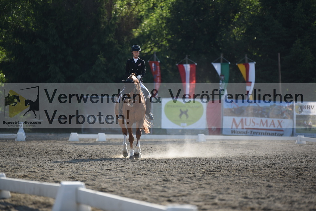 DSC_3147 | equestrian-live-com