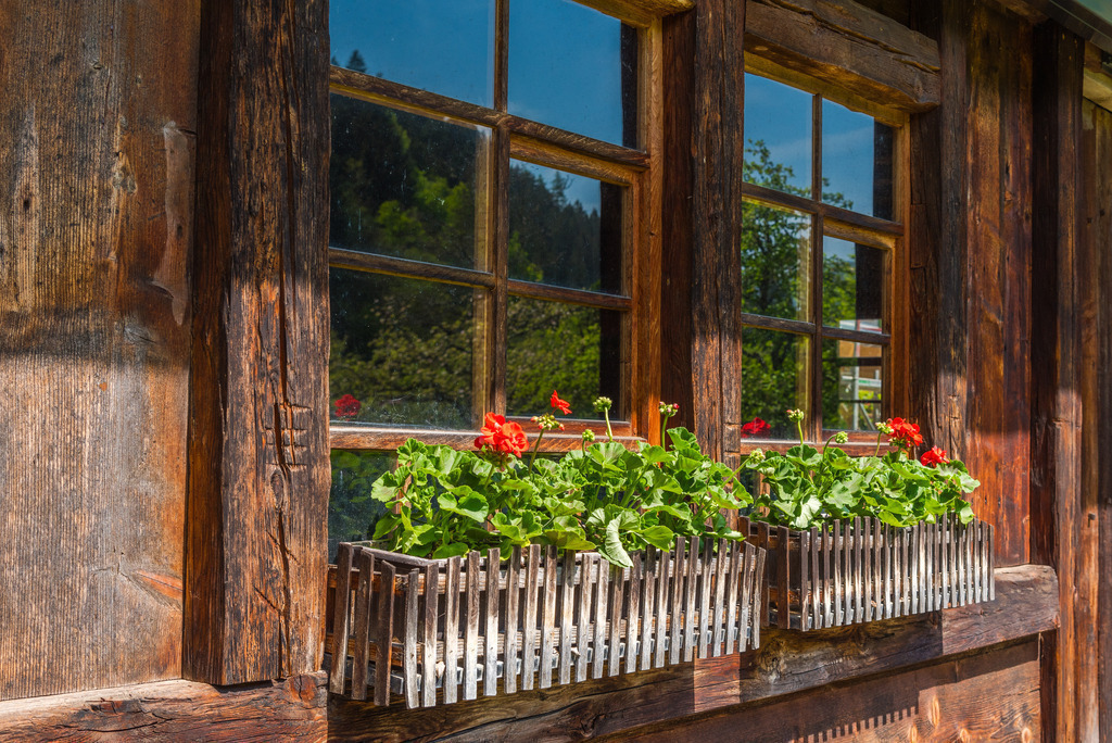 Blumenschmuck | Blumenschmuch an altem Schwarzwald-Bauernhaus - Realisiert mit Pictrs.com