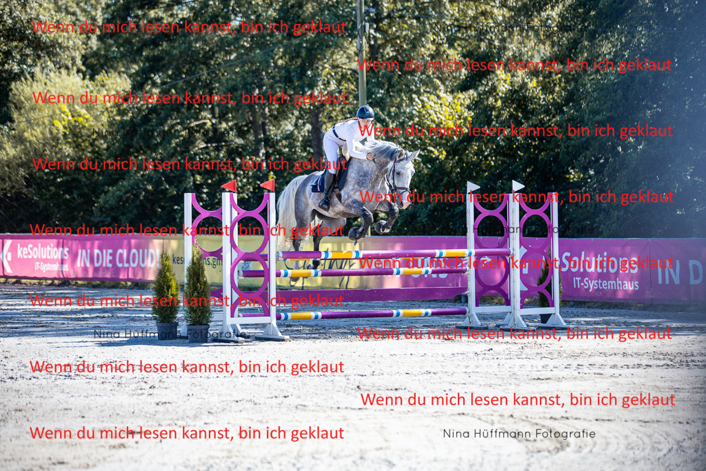 BK1A5635 | Turnierbilder Turnierfotos Nina Hüffmann Turnierfotografie Pferdefotografie Tierzeichnung Haustierzeichnung Pferdezeichnung Hundezeichnung Videograf  - Realisiert mit Pictrs.com