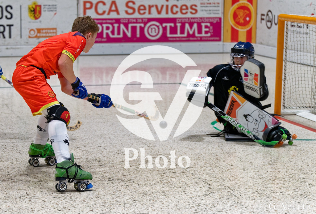 DZ8_3431 | Velletri Photo