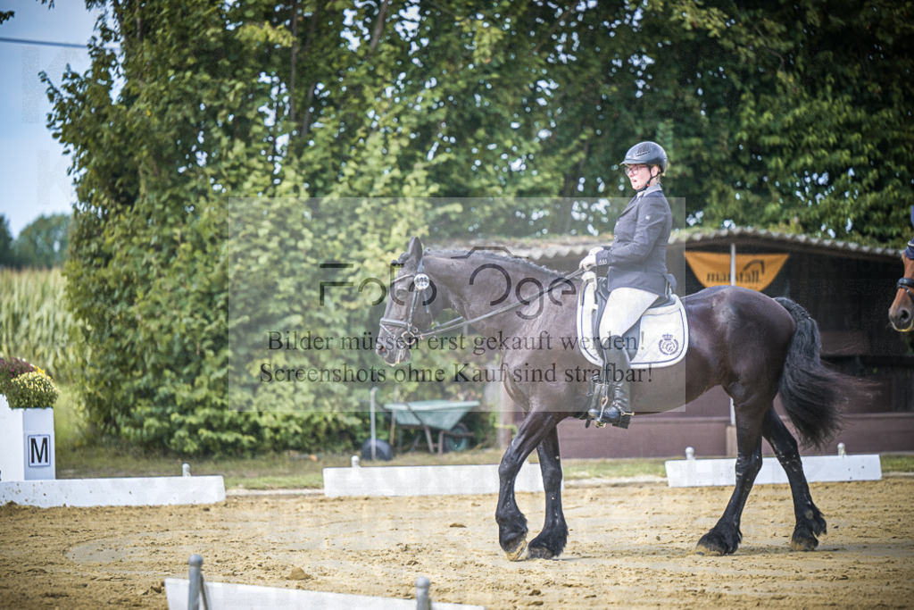 DOS_5230 | Entdecke hochwertige Reitturnierfotos von Foto Oger. Professionell, emotional und authentisch – jetzt Lieblingsmomente im Shop bestellen.Deutschlandweite Turnierfotografie. - Realisiert mit Pictrs.com