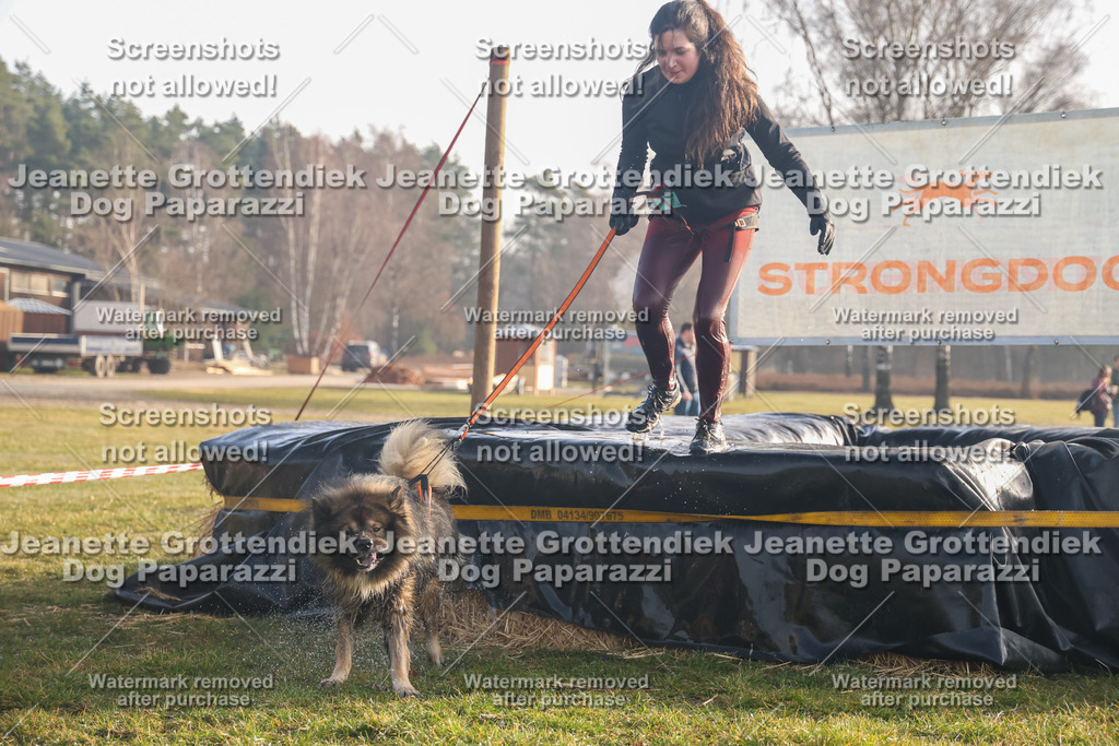 Dog Paparazzi - SD North 0326 900930-78 | Dog Paparazzi Jeanette Grottendiek Fotografie & Videografie - Realisiert mit Pictrs.com
