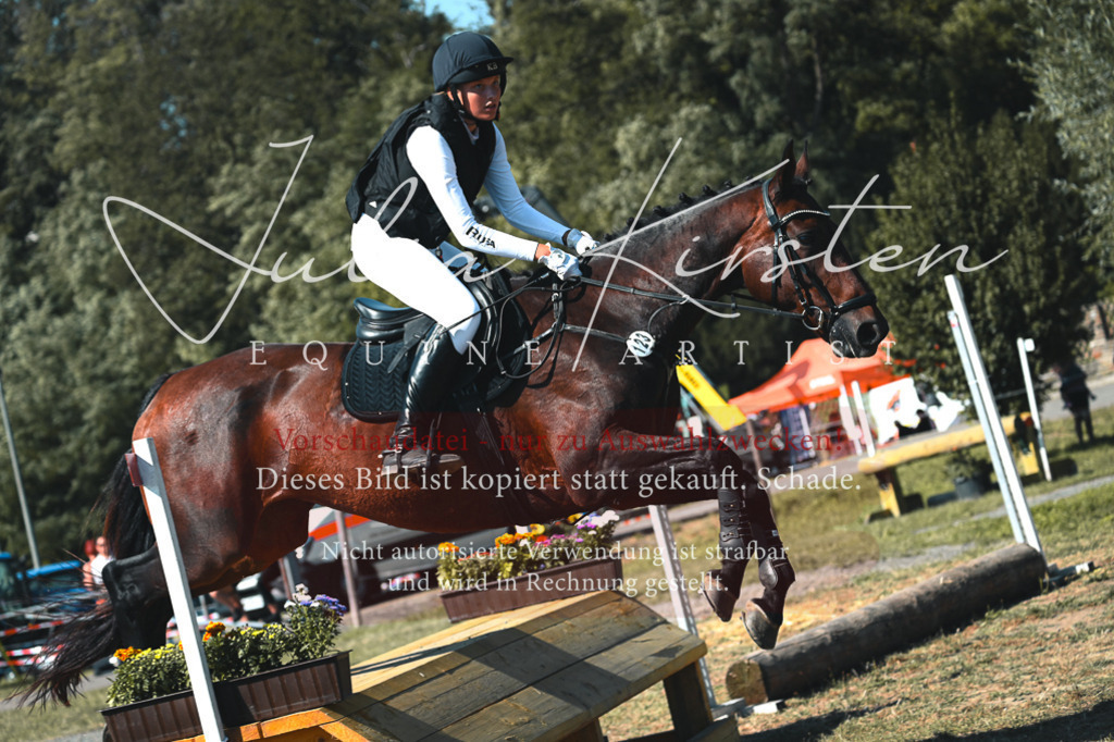 DSC_7887 | Pferde- und Turnierfotografie in Westsachsen. Pferdeportraits, Auftragszeichnungen und intuitive Kunst.