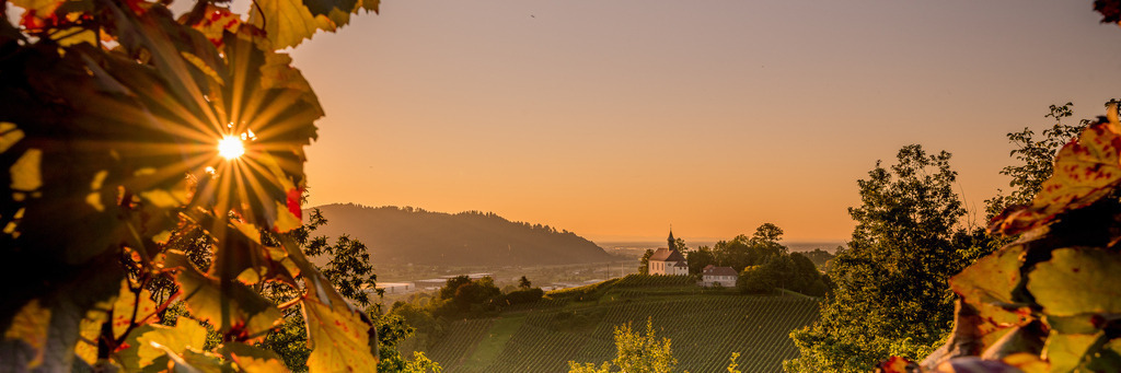 gengenbach_0209-16 | <div id="allefotografen-seal-verified-green"></div><script src="https://www.allefotografen.de/956728/seal-verified-green/seal.js" async="async"></script> - Realisiert mit Pictrs.com
