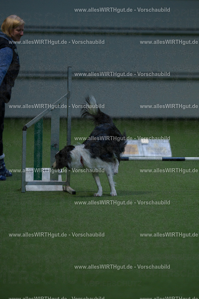 7R501047 | Professionelle Tierfotografie in Mönchengladbach von Daniel Wirth (allesWIRTHgut). Liebevolle & natürliche Bilder von Hunden & Katzen für unvergessliche Erinnerungen.