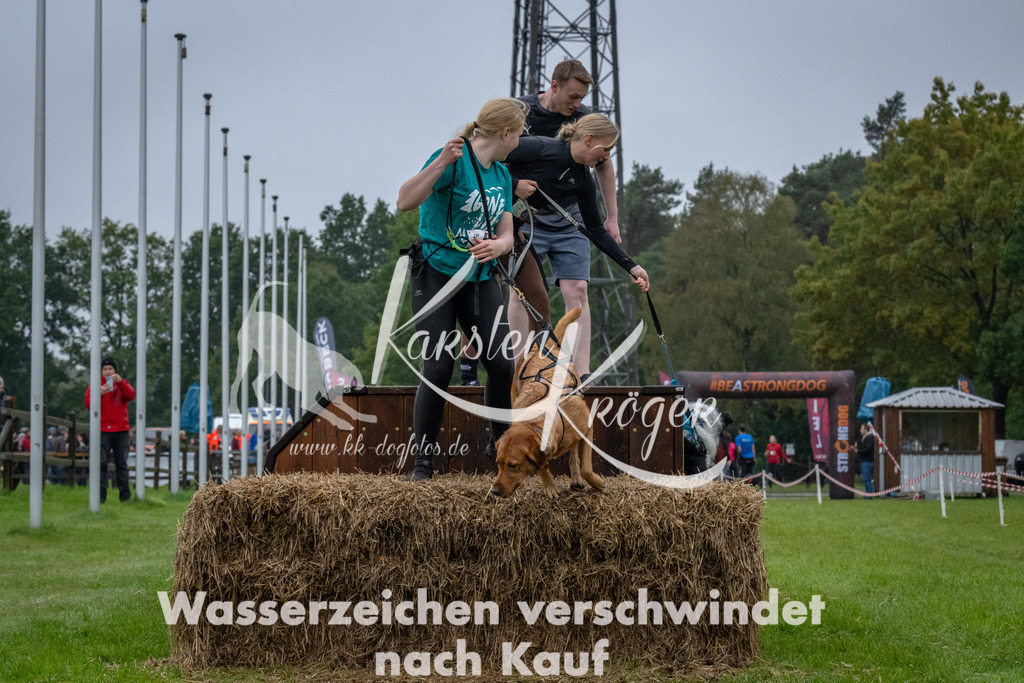 1114-93998 | kk-dogfotos