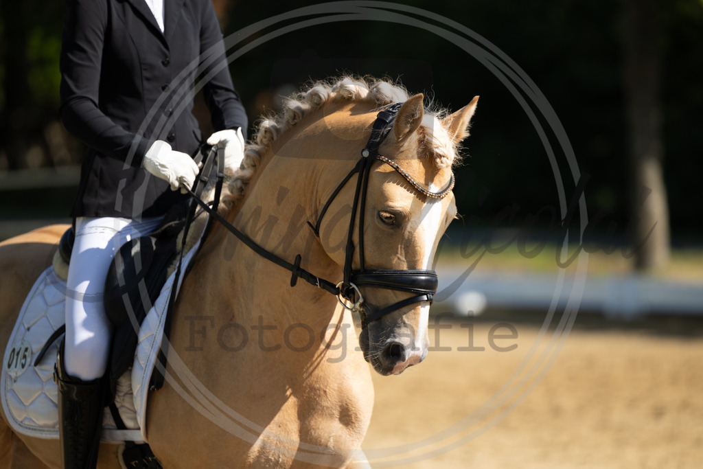 994A3121 | sabrinanicolaifotografie - Realisiert mit Pictrs.com