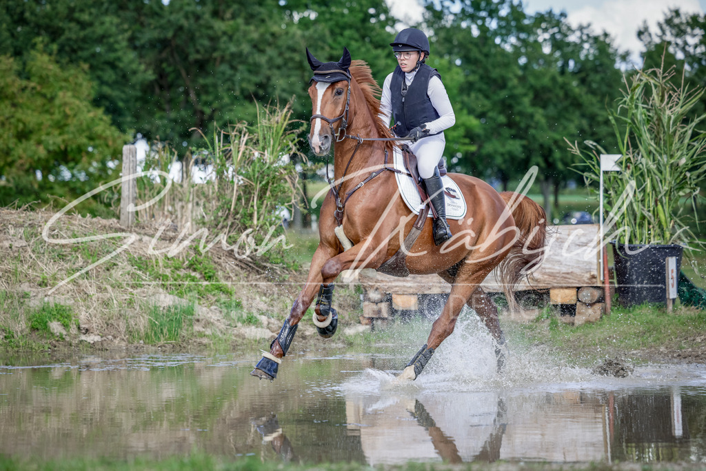 20250906-_3LI6902 | Tierfotografie Pferde, Hunde, Katzen, Haustiere.
Turnierfotografie Reitturniere, Reiten, Springreiten, Dressur in Hanau, dem Main-Kinzig-Kreis und dem Rhein-Main- Gebiet um Frankfurt