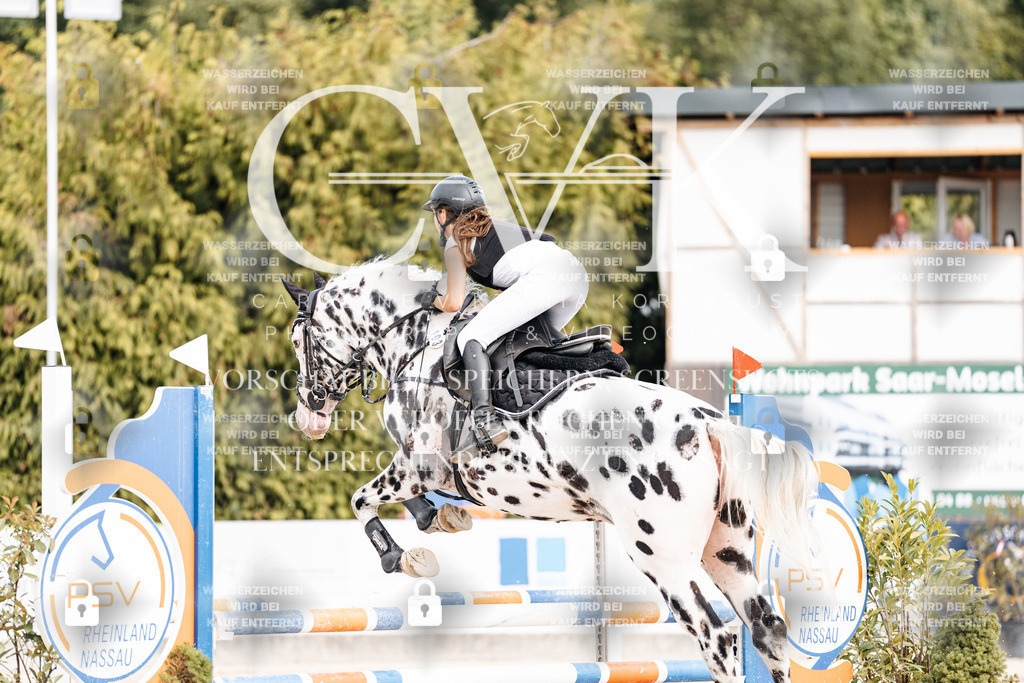 CK908938 | Turnierfotografie Pferdefotografie Trier Rheinland-Pfalz Pferdesport Reitsport Tierfotografie Sportfotografie Pferdevideo Pferdevideografie Equestrianvideography equestrianphotography  - Realisiert mit Pictrs.com