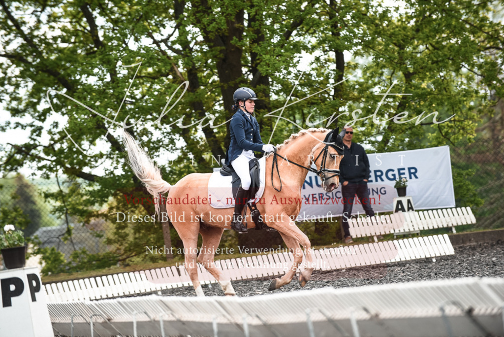 20230514_JK-Röhrsdorf-24-428 | Pferde- und Turnierfotografie in Westsachsen. Pferdeportraits, Auftragszeichnungen und intuitive Kunst.