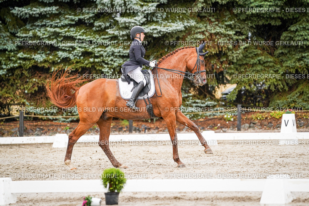 DSC09582 | Pferdegrafie