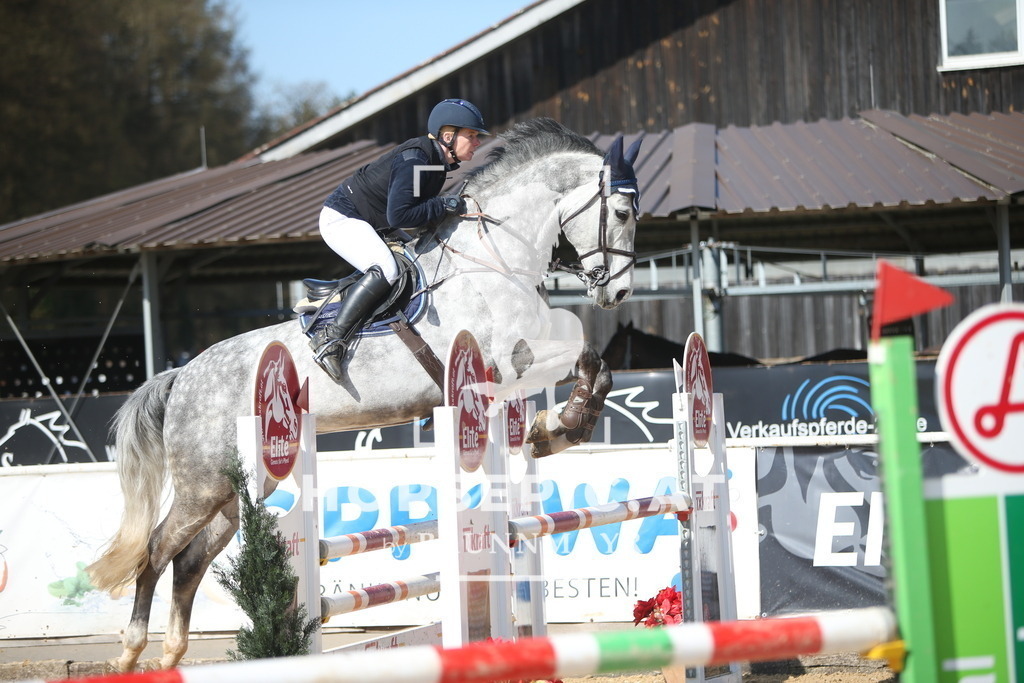 AS8V6096 | Willkommen bei Brunnmayr - Design & Fotografie – Ihrem Spezialisten für Reitturniere und Pferdeveranstaltungen in Oberösterreich, Salzburg und Bayern! Seit über 17 Jahren sind wir leidenschaftlich dabei.