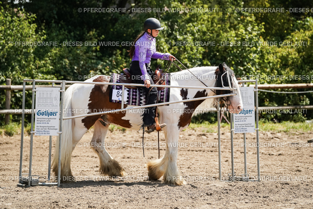 DSC07514 | Pferdegrafie