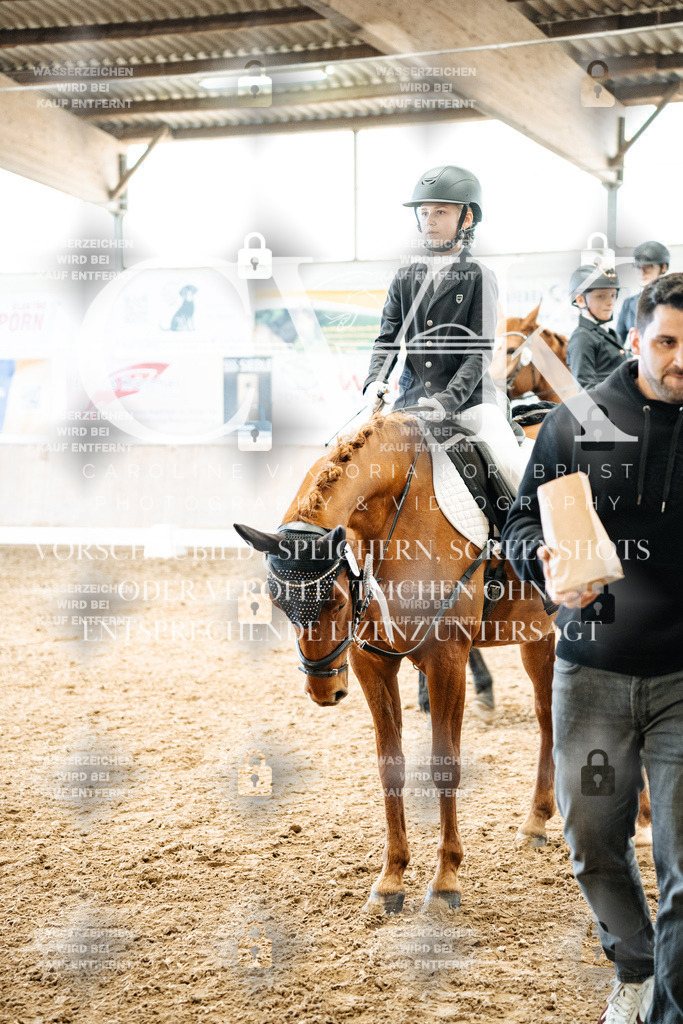 CK703075 | Turnierfotografie Pferdefotografie Trier Rheinland-Pfalz Pferdesport Reitsport Tierfotografie Sportfotografie Pferdevideo Pferdevideografie Equestrianvideography equestrianphotography  - Realisiert mit Pictrs.com