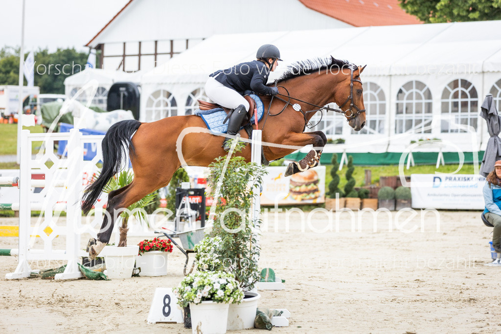 BHO-2PhSpr-M-112 | MomenTaufnahmen Pferdesportfotos