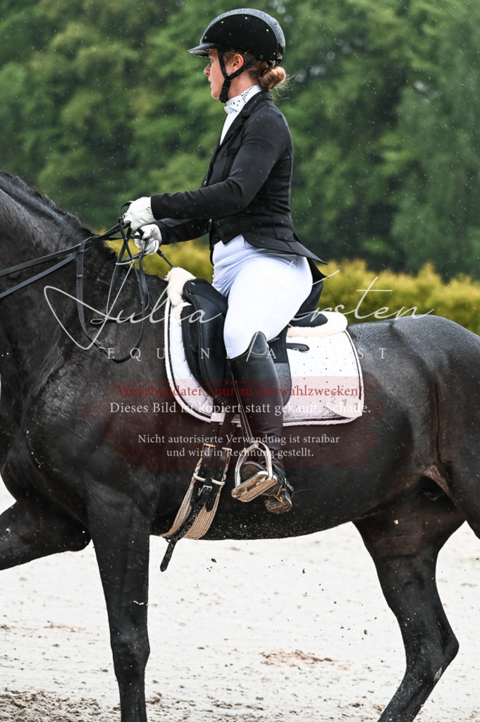 DSC_4519 | Pferde- und Turnierfotografie in Westsachsen. Pferdeportraits, Auftragszeichnungen und intuitive Kunst.