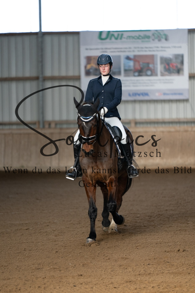 A7V05652 | Pferdefotograf