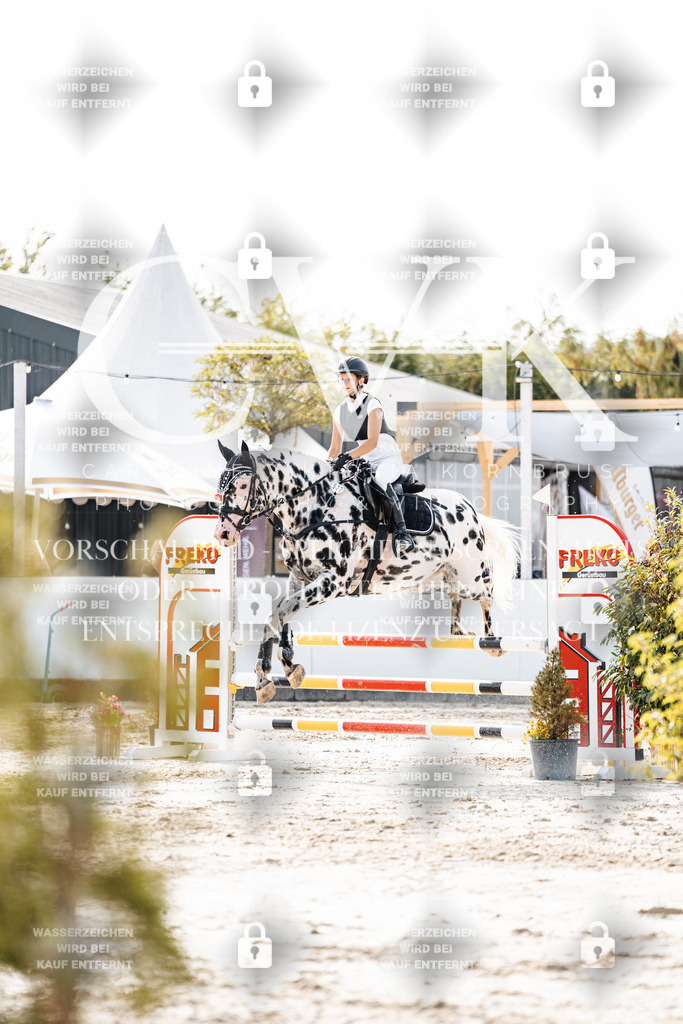 CK905967 | Turnierfotografie Pferdefotografie Trier Rheinland-Pfalz Pferdesport Reitsport Tierfotografie Sportfotografie Pferdevideo Pferdevideografie Equestrianvideography equestrianphotography  - Realisiert mit Pictrs.com
