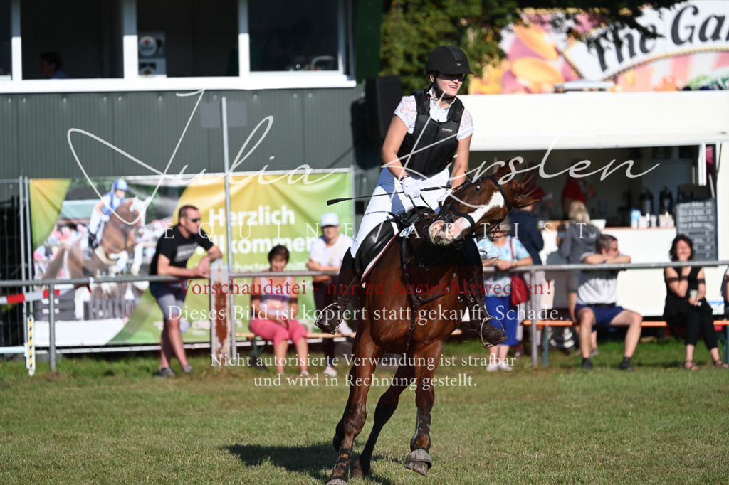 DSC_4710 | Pferde- und Turnierfotografie in Westsachsen. Pferdeportraits, Auftragszeichnungen und intuitive Kunst.