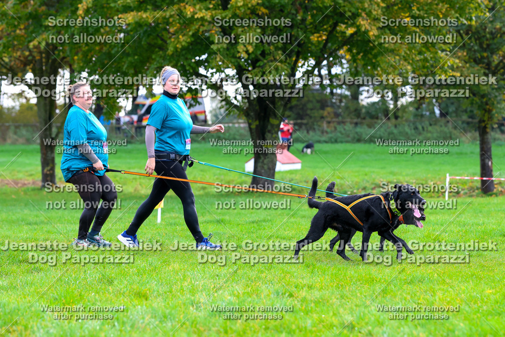 Dog Paparazzi -  SD1026-2149 | Dog Paparazzi Jeanette Grottendiek Fotografie & Videografie - Realisiert mit Pictrs.com