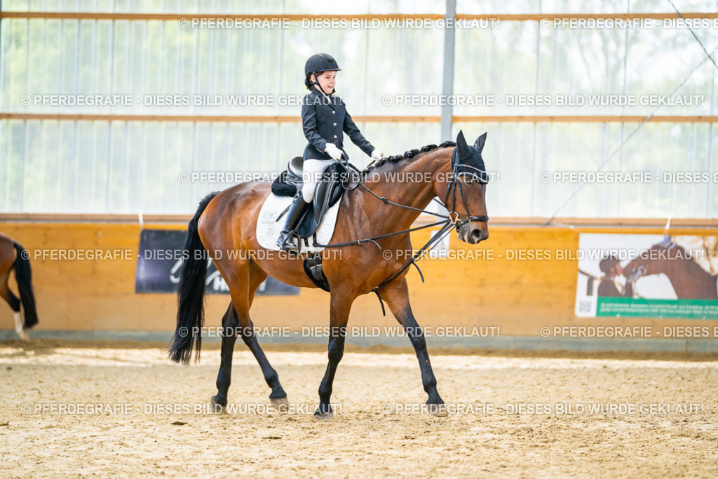 DSC00992 | Pferdegrafie