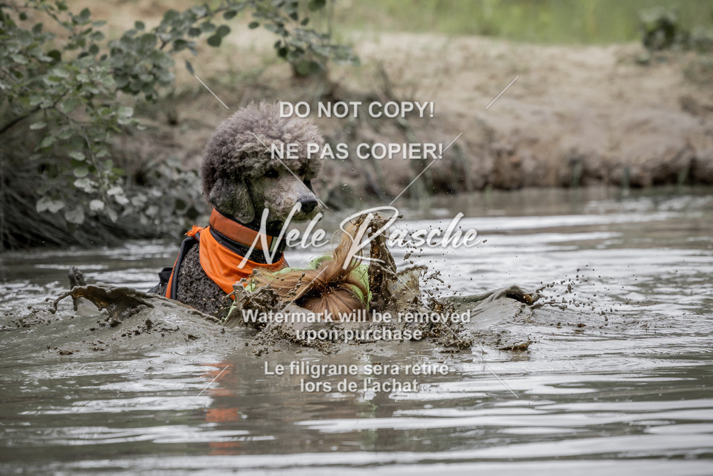 nelerasche_so1000-1030_294 | nelerasche