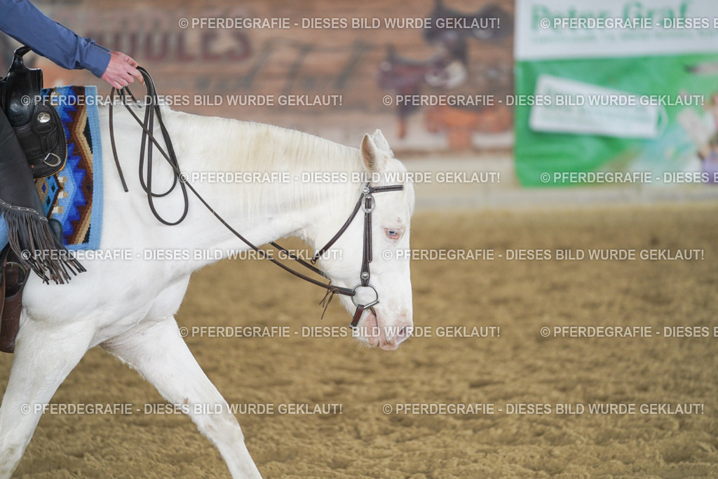 DSC04467 | Pferdegrafie