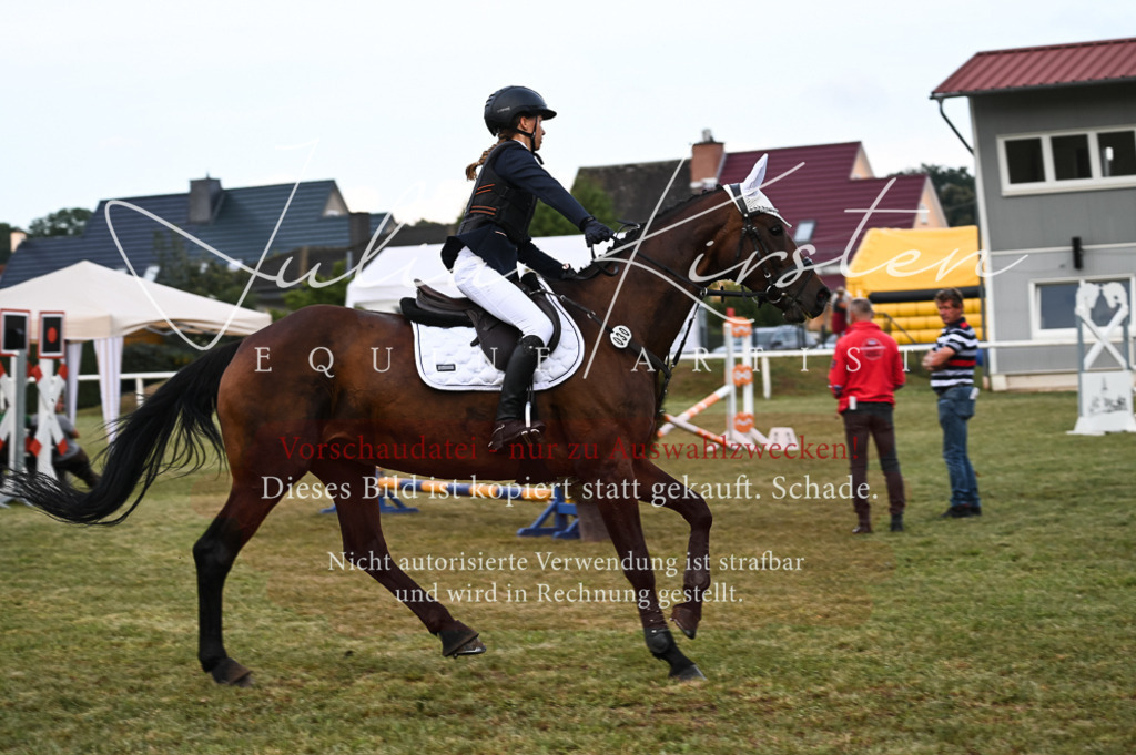 DSC_5642 | Pferde- und Turnierfotografie in Westsachsen. Pferdeportraits, Auftragszeichnungen und intuitive Kunst.