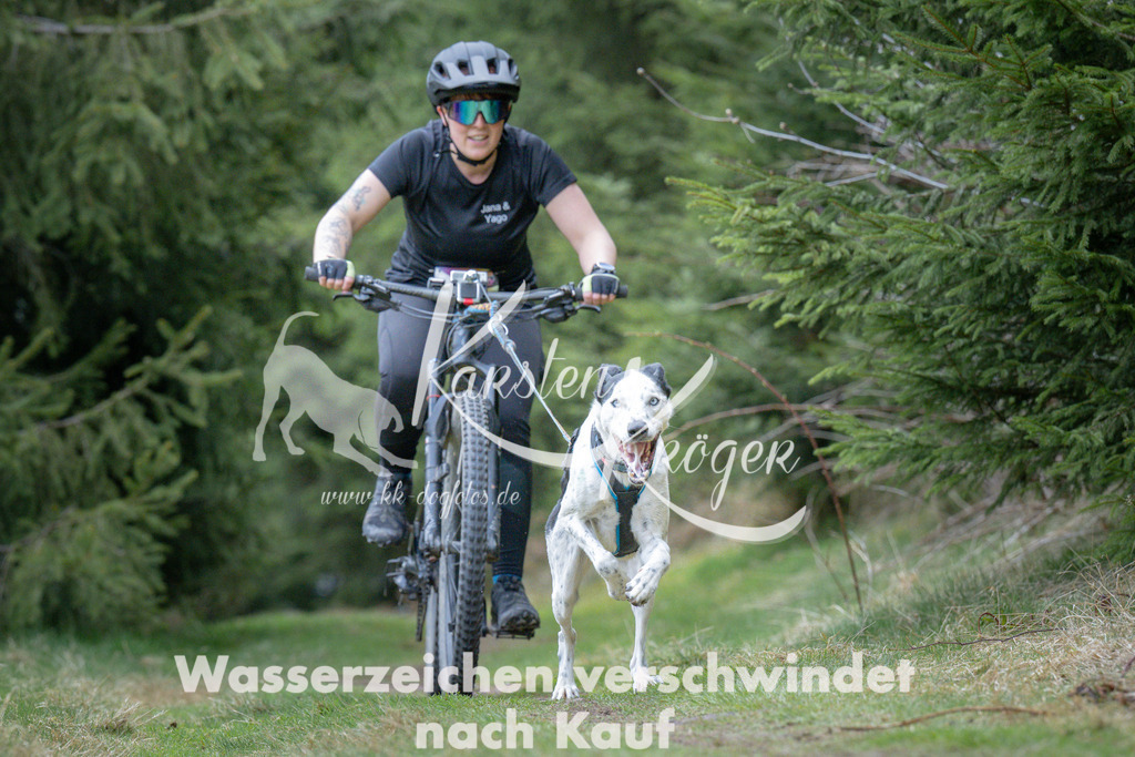 1311_ZZ93926 | kk-dogfotos