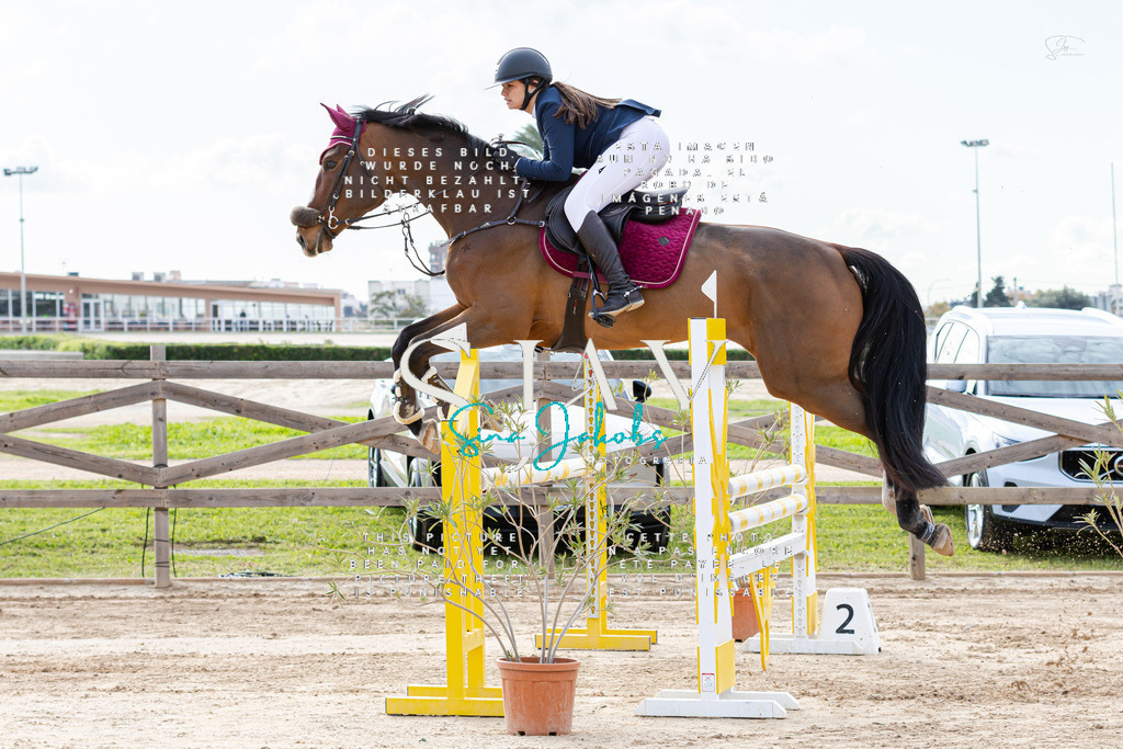 IMG_2600 | s-jay-photography - Realisiert mit Pictrs.com