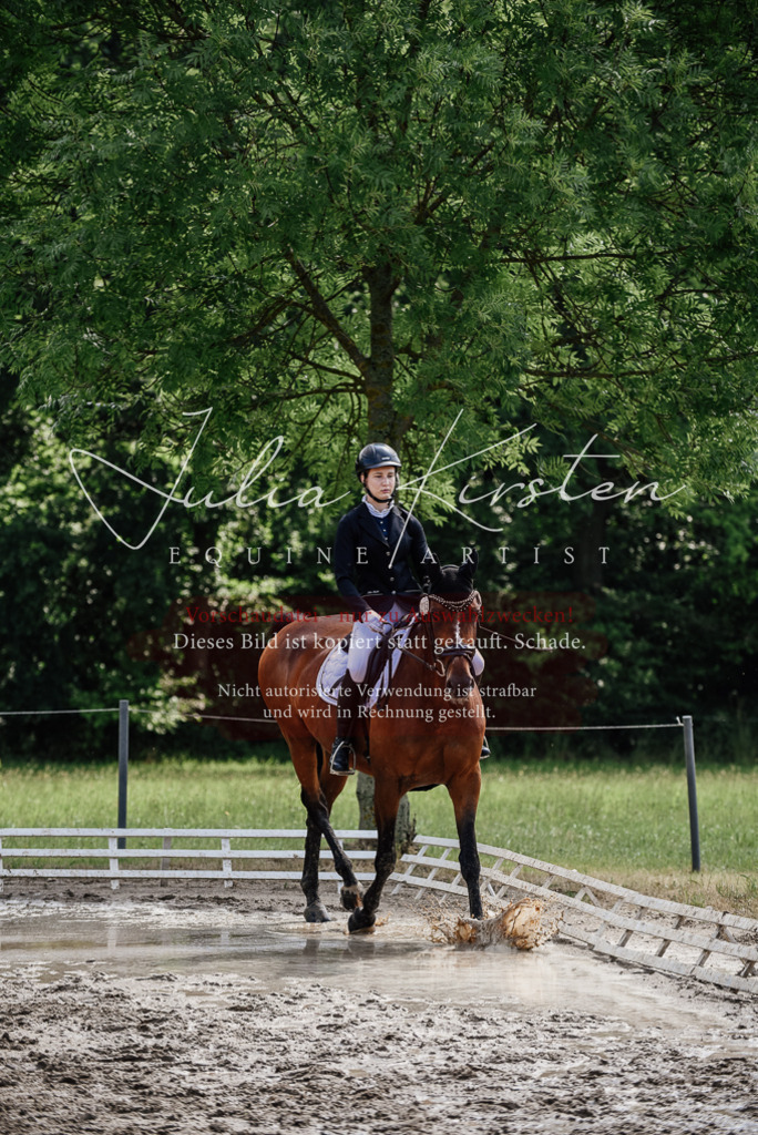 DSC_0428 | Pferde- und Turnierfotografie in Westsachsen. Pferdeportraits, Auftragszeichnungen und intuitive Kunst.