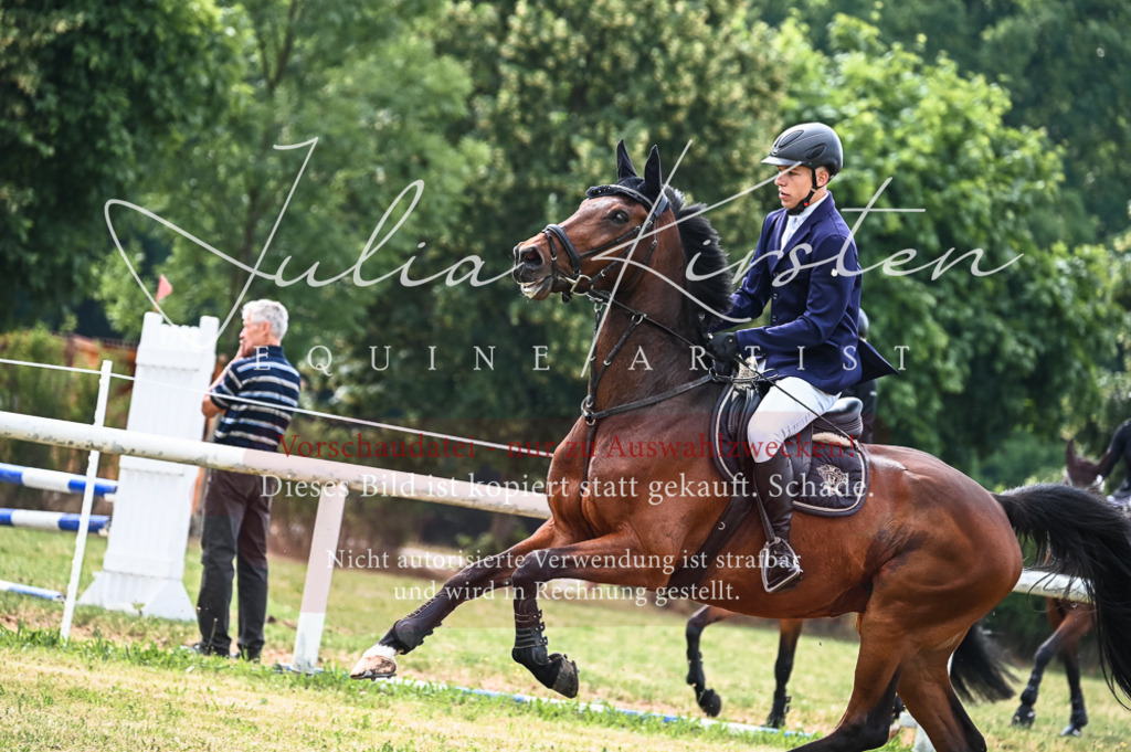 DSC_8398 | Pferde- und Turnierfotografie in Westsachsen. Pferdeportraits, Auftragszeichnungen und intuitive Kunst.
