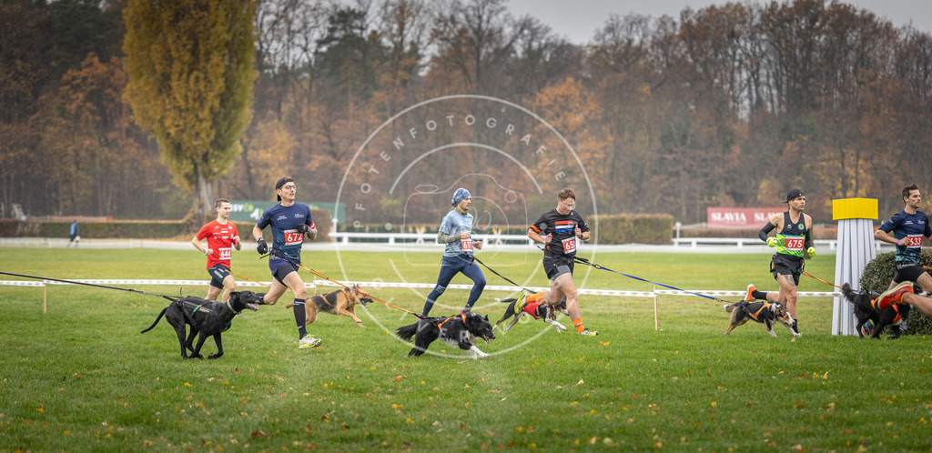 CaniXpix_DV3A9513 | Hundefotografie, Tierfotograf, Pfotenfotografie, Fotoshooting Hund, Hunde Portrait, Hundesport, Hundeportraits, Heideshooting, Hunde, Sportfotograf, Hundefotograf, Turnierhundsport, THS,  - Realisiert mit Pictrs.com