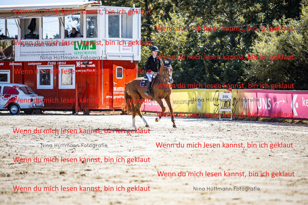 BK1A5523 | Turnierbilder Turnierfotos Nina Hüffmann Turnierfotografie Pferdefotografie Tierzeichnung Haustierzeichnung Pferdezeichnung Hundezeichnung Videograf  - Realisiert mit Pictrs.com