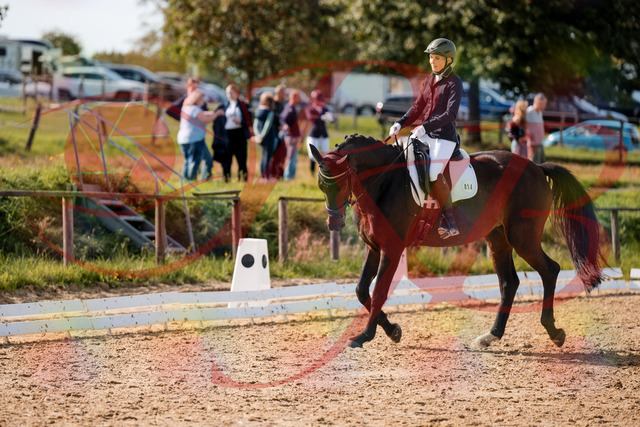 2026_10_03_Siefer-Hof_133642_Z63_97664167 | Professionelle Reitsport-, Turnier- und Eventfotografie von Robert Broda. Galerien mit ausgewählten und bearbeiteten Bildern direkt online ansehen und bestellen.