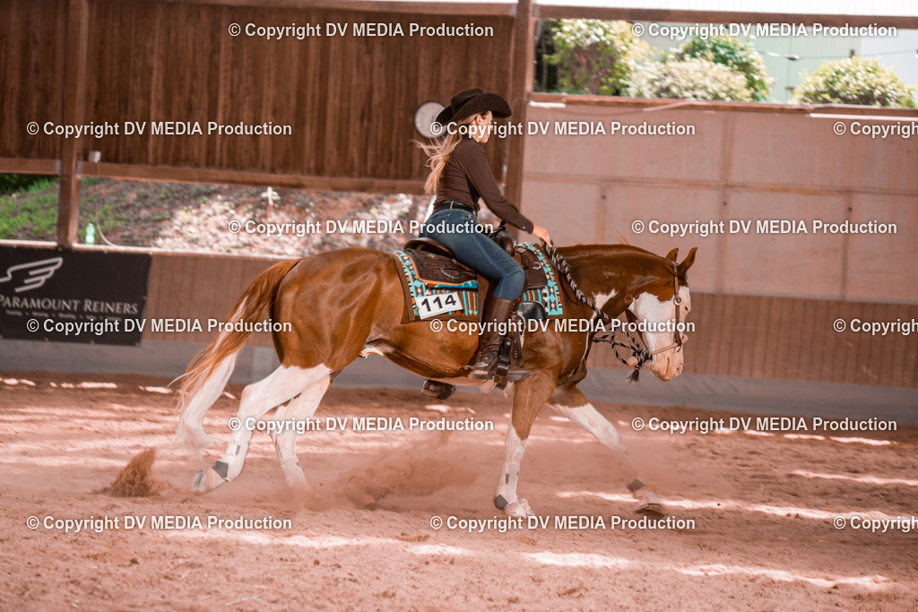 NE300590 | dv-media-shop - Realisiert mit Pictrs.com