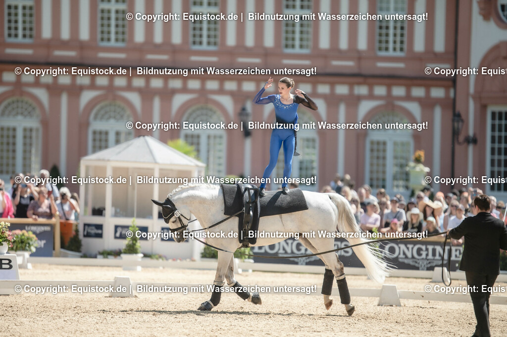 20230528_Voltigieren_NASPA_0031 | equistock