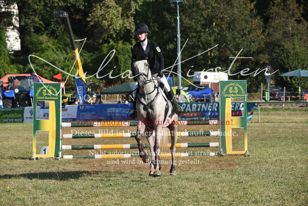 DSC_5267 | Pferde- und Turnierfotografie in Westsachsen. Pferdeportraits, Auftragszeichnungen und intuitive Kunst.