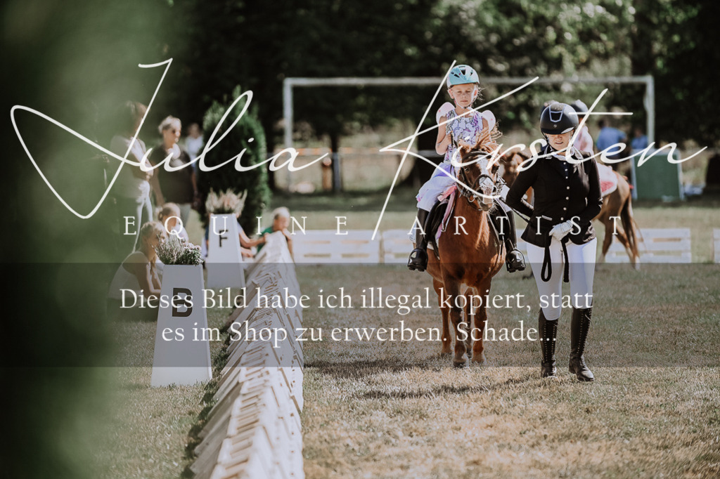 DSC_9009 | Pferde- und Turnierfotografie in Westsachsen. Pferdeportraits, Auftragszeichnungen und intuitive Kunst.