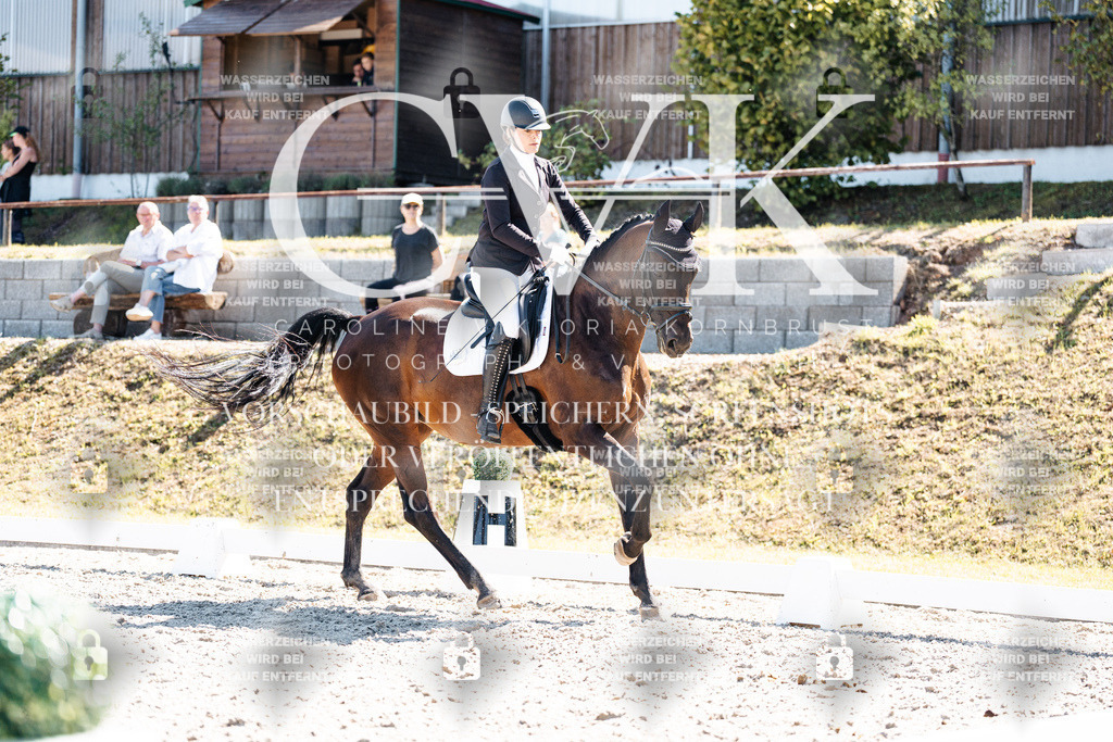 CK909746 | Turnierfotografie Pferdefotografie Trier Rheinland-Pfalz Pferdesport Reitsport Tierfotografie Sportfotografie Pferdevideo Pferdevideografie Equestrianvideography equestrianphotography  - Realisiert mit Pictrs.com