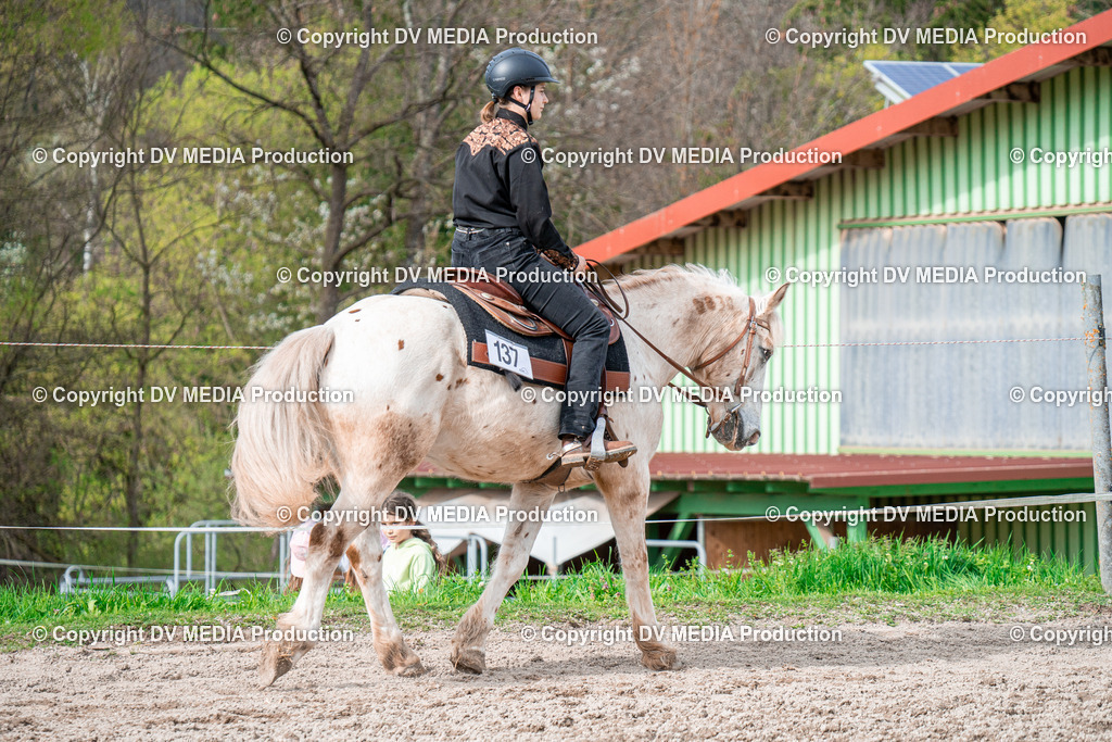 BAL02718 | dv-media-shop - Realisiert mit Pictrs.com