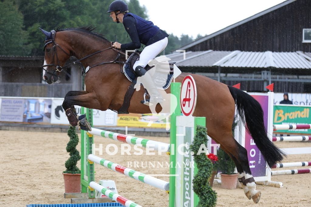 0P6A2624 | Willkommen bei Brunnmayr - Design & Fotografie – Ihrem Spezialisten für Reitturniere und Pferdeveranstaltungen in Oberösterreich, Salzburg und Bayern! Seit über 17 Jahren sind wir leidenschaftlich dabei.