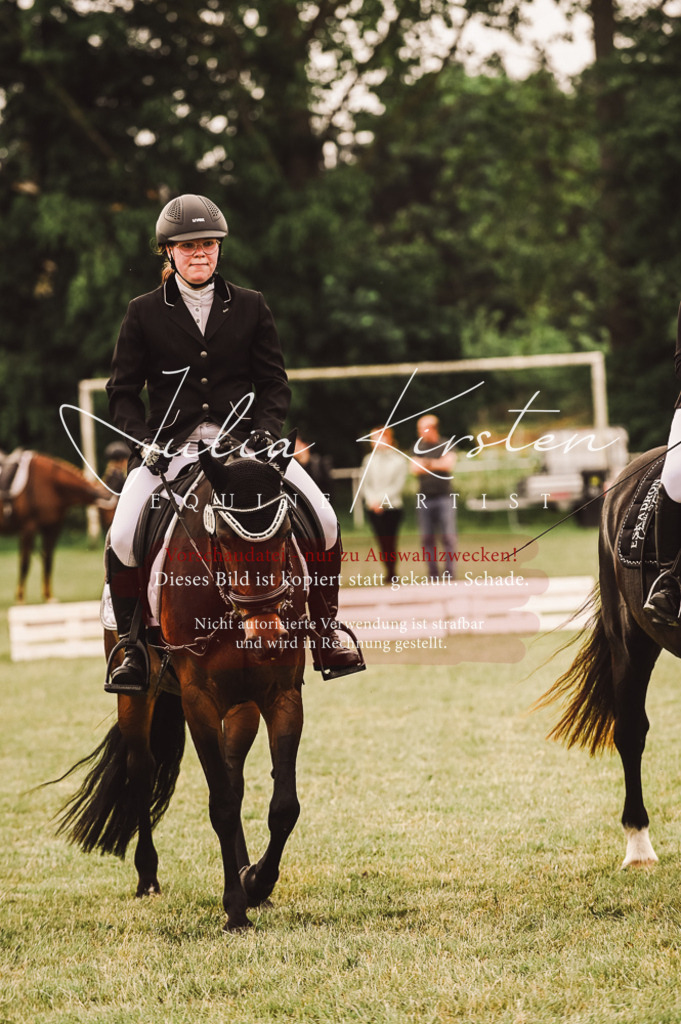 DSC_4945 | Pferde- und Turnierfotografie in Westsachsen. Pferdeportraits, Auftragszeichnungen und intuitive Kunst.