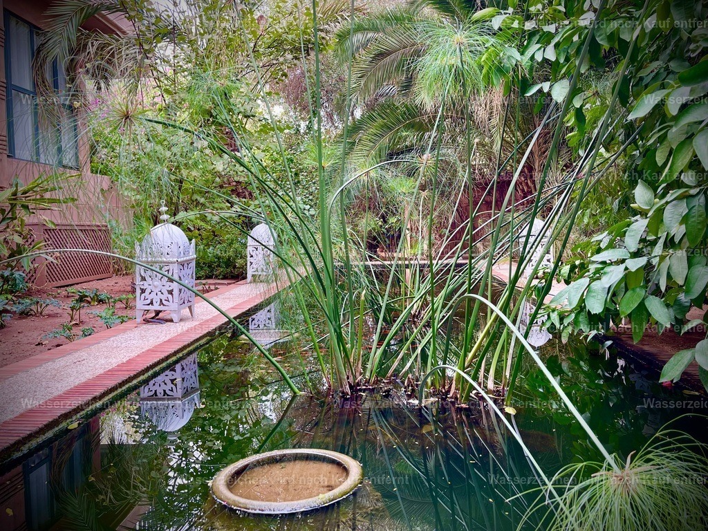 IMG_3397 | heikomoeller - Realisiert mit Pictrs.com